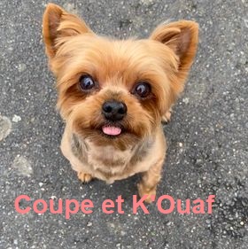 Cette image a un attribut alt vide ; le nom du fichier est ckharry.jpg